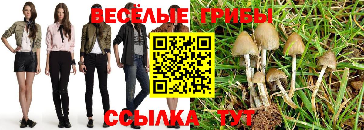 Галлюциногенные грибы Psilocybine cubensis Егорьевск